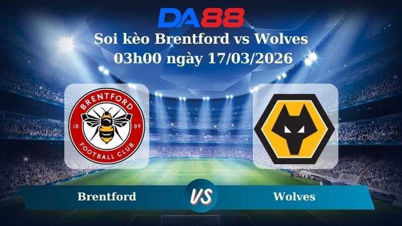 DA88 Nhận định soi kèo Brentford vs Wolves 03h00 ngày 17/03/2026 – Ngoại hạng Anh